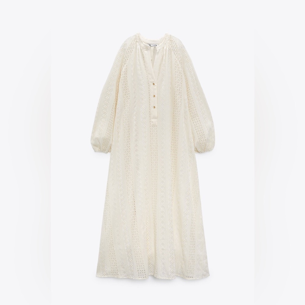 Zara Openwork Embroidery Dress - Picture 6 of 11